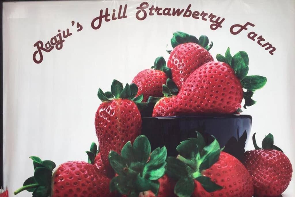 Lily Homestay Barrington Square Cameron Highlands. Brinchang Zewnętrze zdjęcie